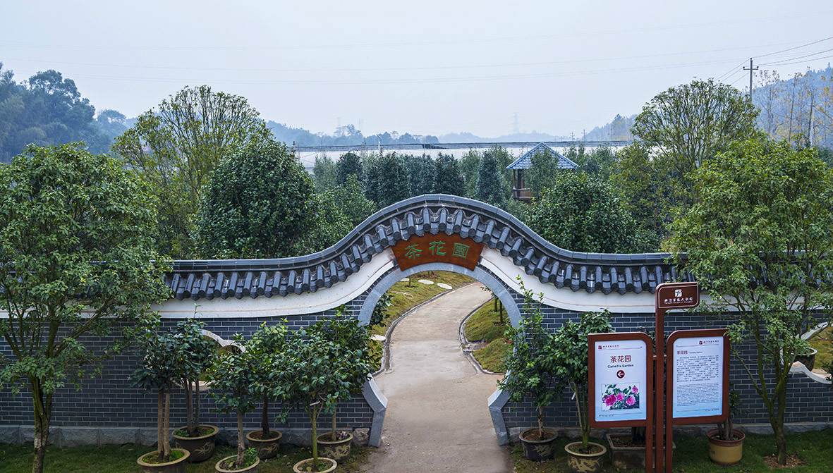 湘潭盤龍大觀園