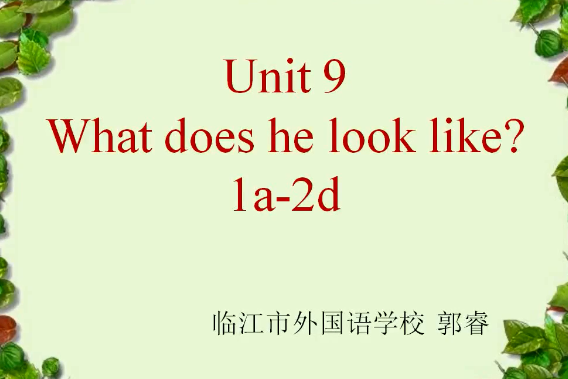 Unit 9 What does he look like?