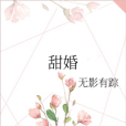 甜婚(無影有蹤所著小說)