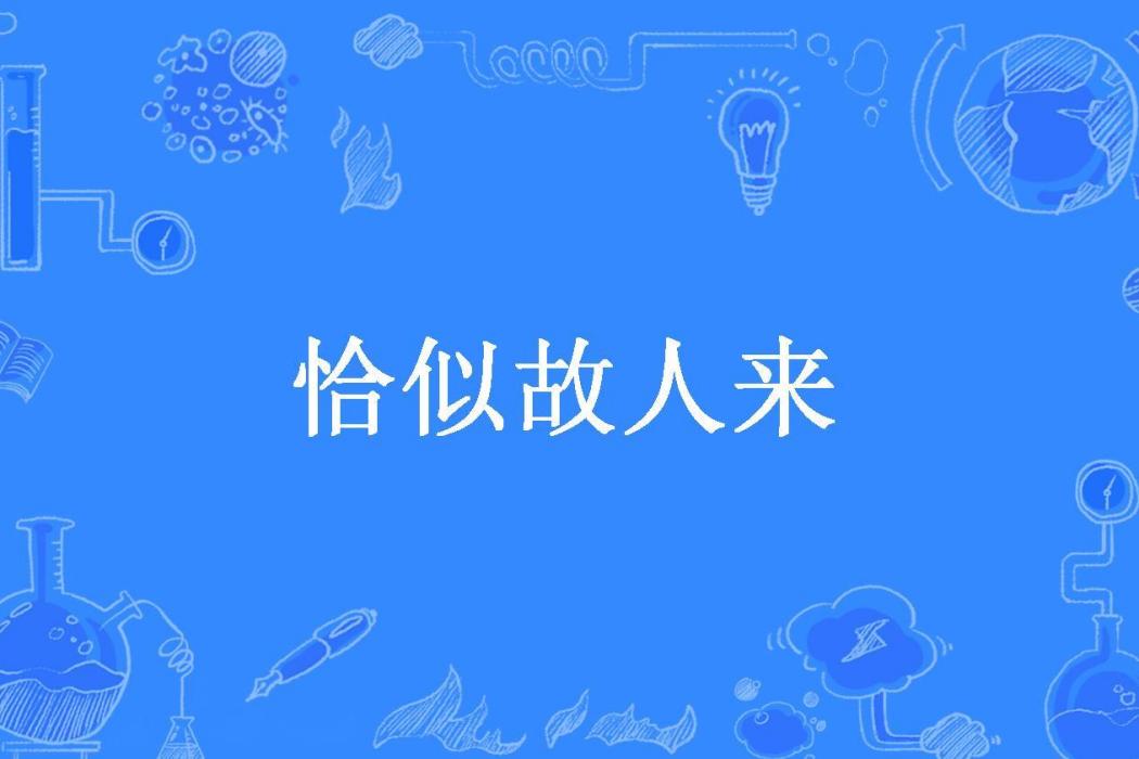 恰似故人來(徐二毛所著小說)