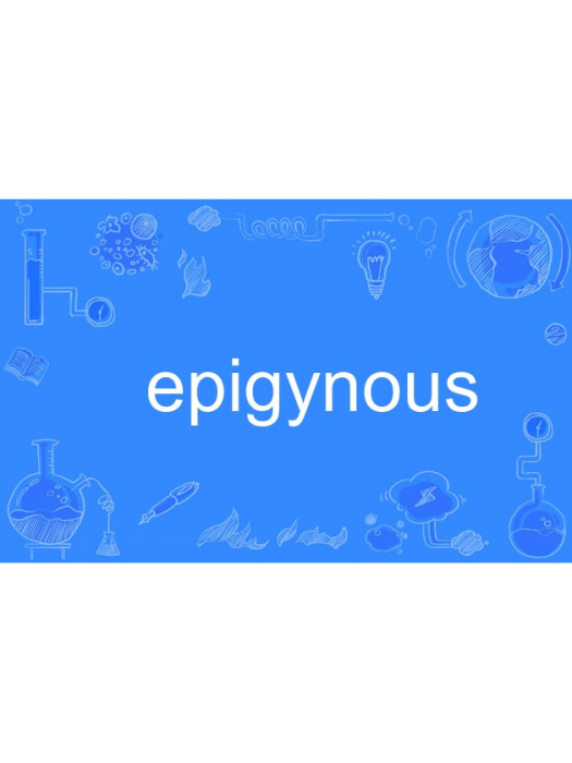 epigynous