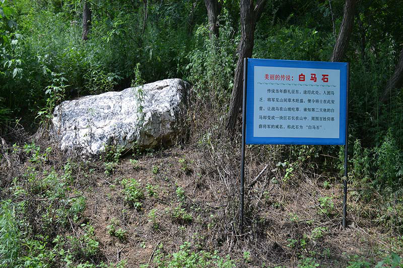 九鼎巍峰山生態農業園