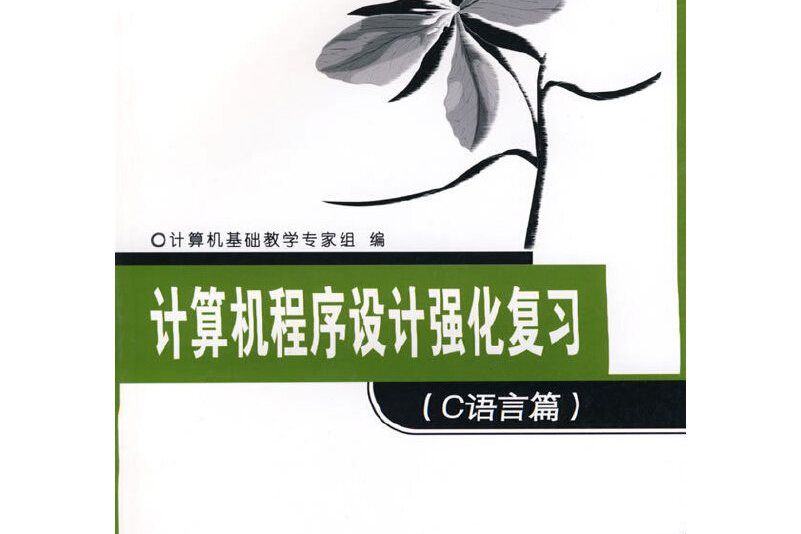 電腦程式設計強化複習(2007年東南大學出版社出版的圖書)