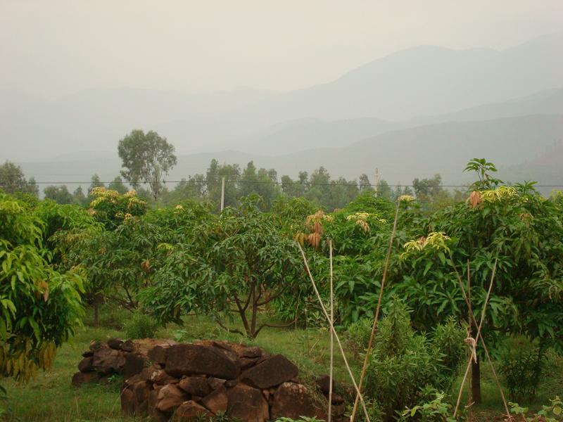 小丙戌村