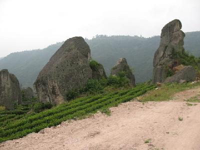 下坑村