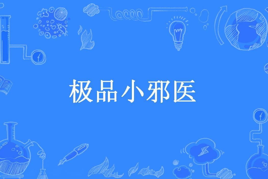 極品小邪醫(火力十足所著小說)