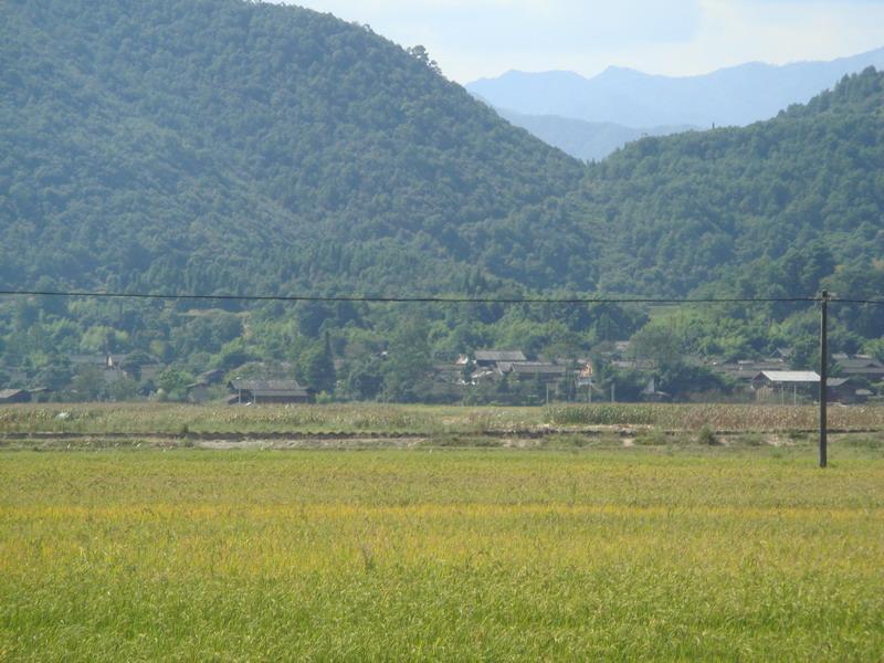 金家灣、孫家營自然村