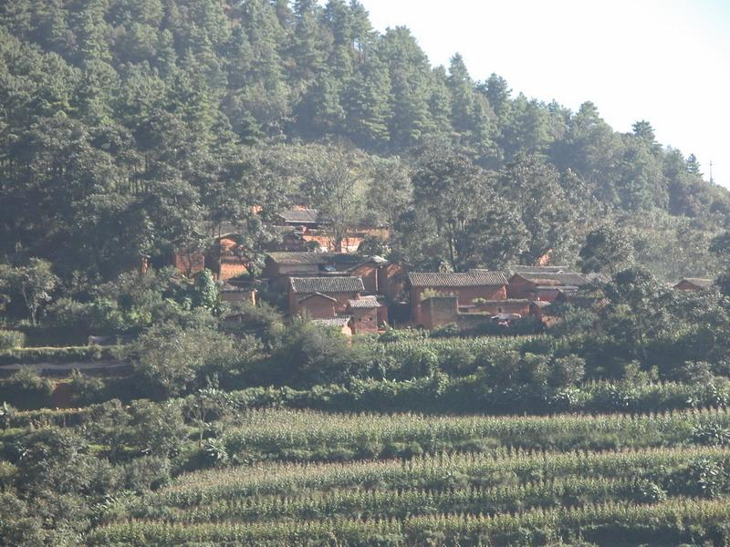 李子樹村(雲南昆明市宜良縣竹山鄉下轄村)