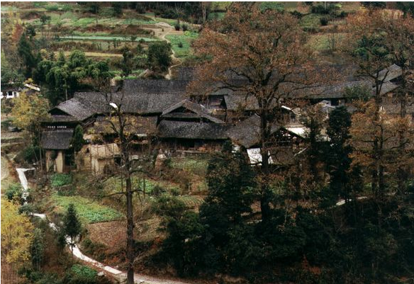 橋樑村古楓寨