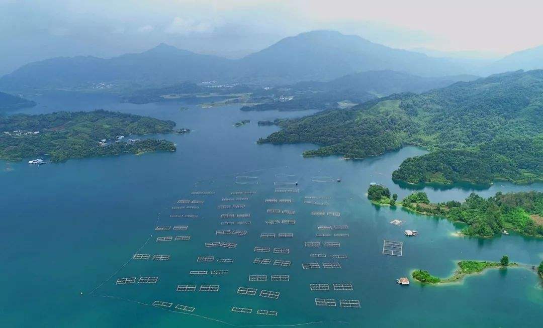 安徽太平湖國家濕地公園