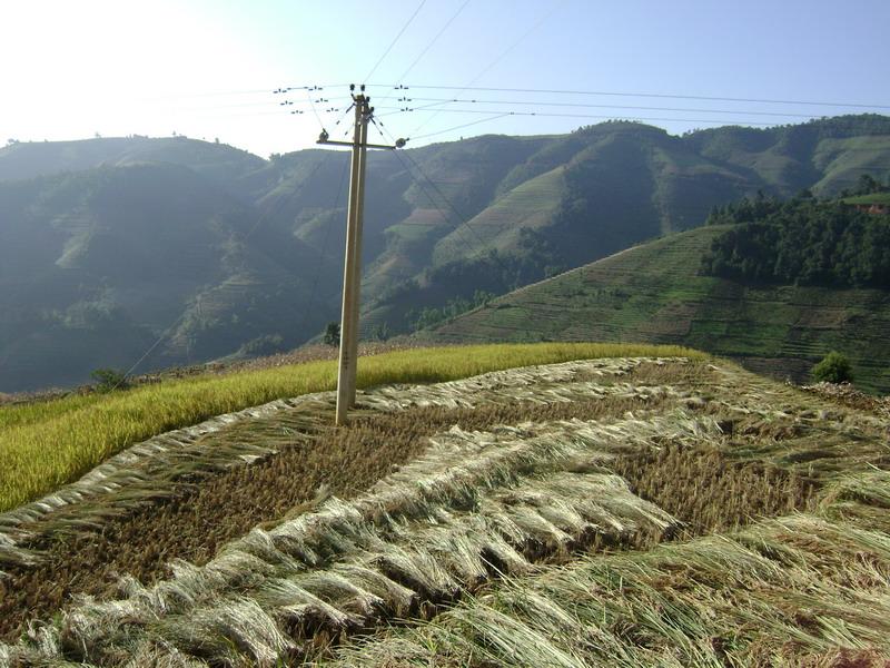 大踏山自然村