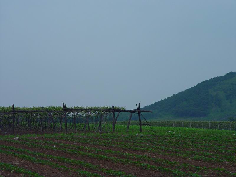 高山鄉(安徽省東至縣高山鄉)