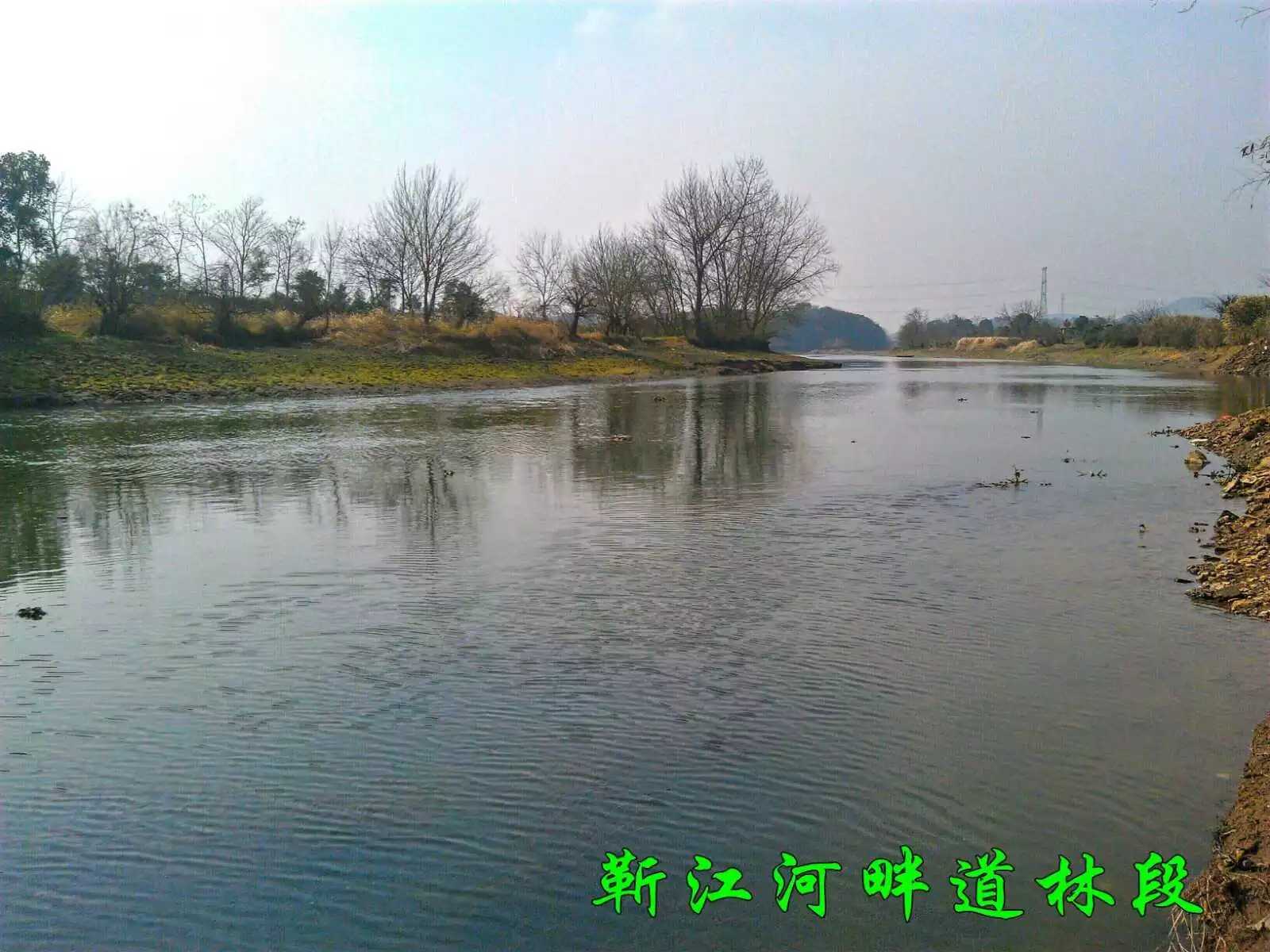 靳江河道林鎮龍泉湖村段