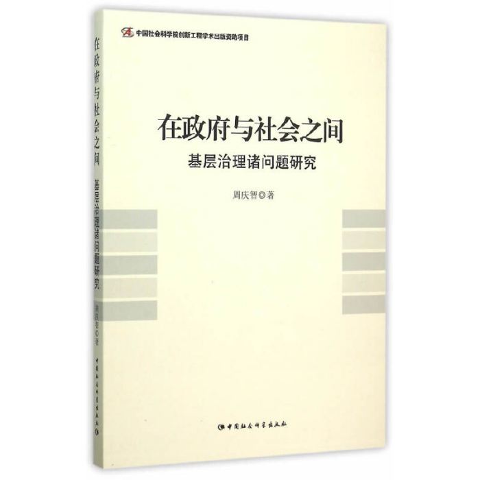 在政府與社會之間：基層治理諸問題研究