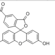 5(6)-羧基螢光素