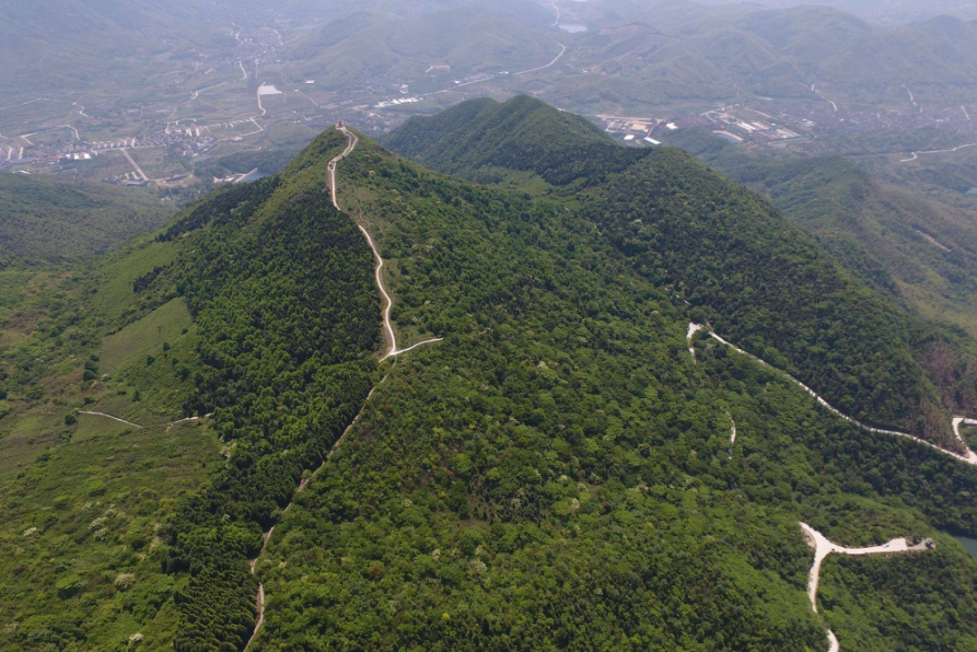 浙江奉化金峨山省級森林公園