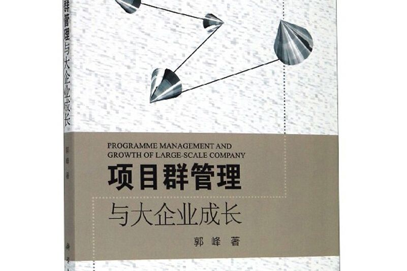 項目群管理與大企業成長