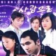 天若有情2(偷心（2006年董潔主演電視劇）)