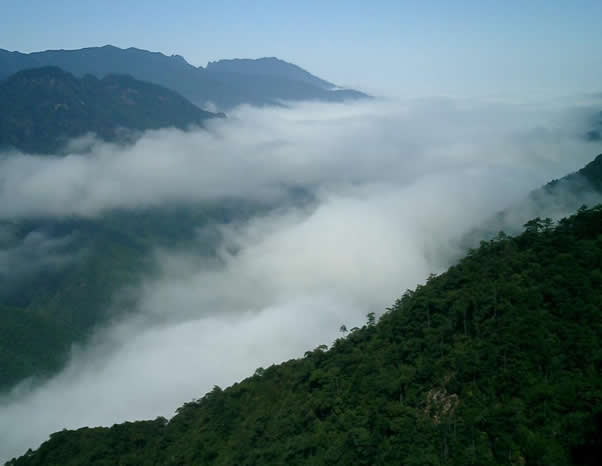 雙子山原始森林公園