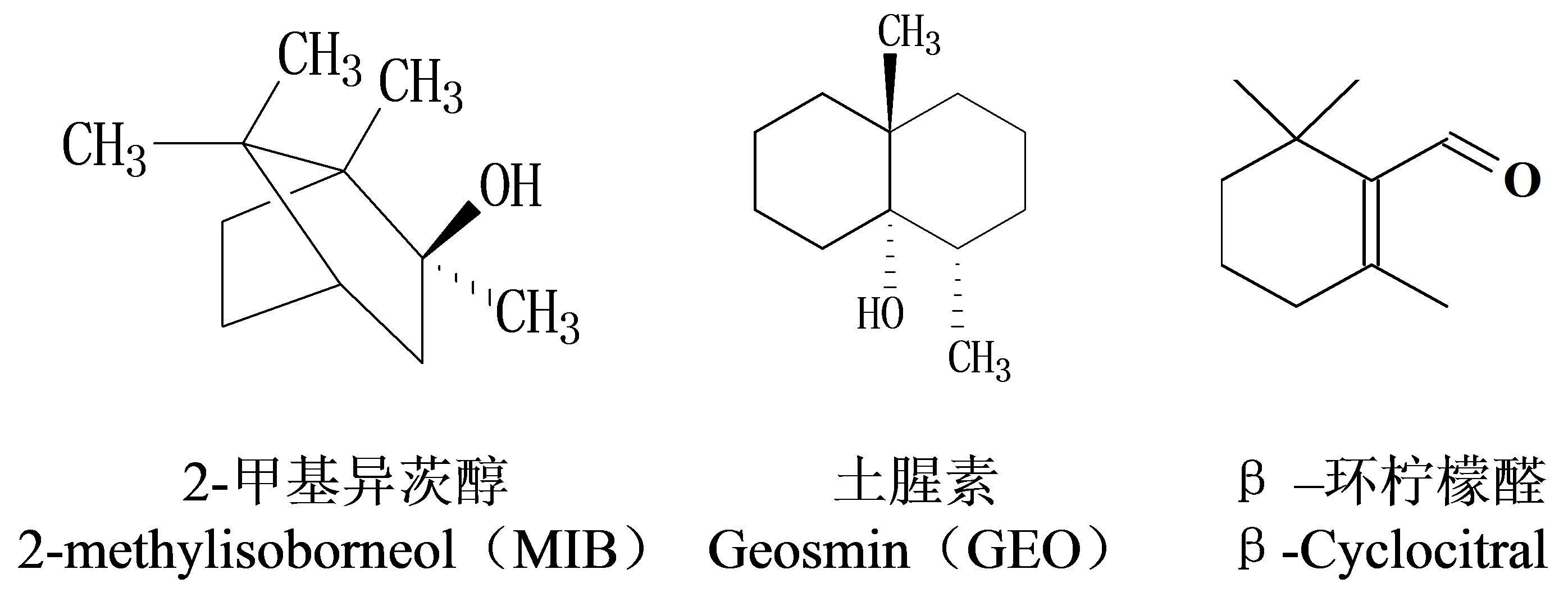 水中異味物質