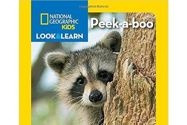 National Geographic Kids Look and Learn: Peek-a-boo