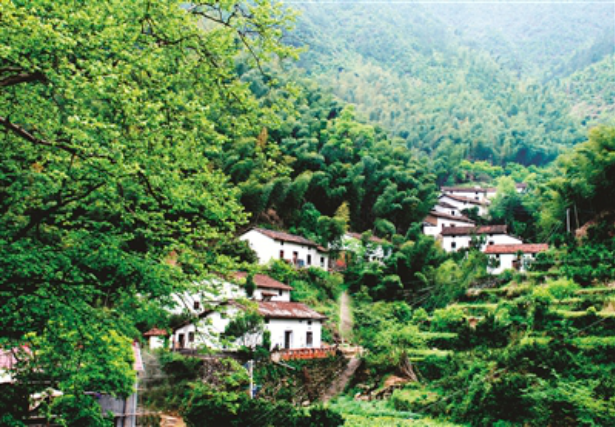 茶坪村(重慶市萬州區分水鎮茶坪村)