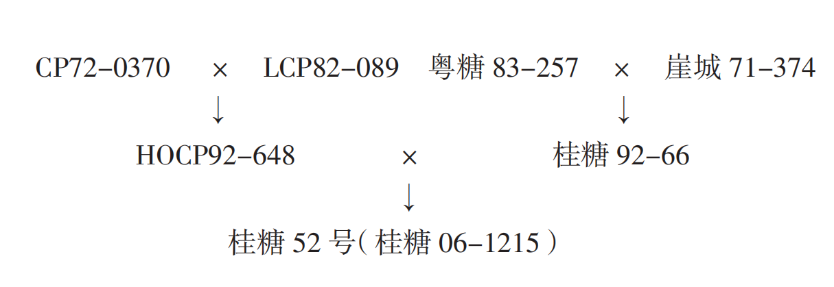 桂糖52號