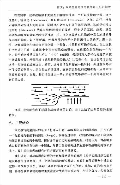 戰略智慧：國際知名企業發展經典路徑集團戰略藍皮書