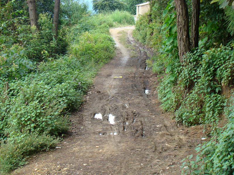 大領乾自然村村內道路