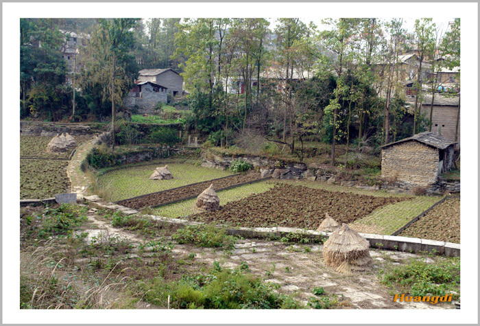 蓮花村(四川省廣元市劍閣縣鹽店鎮蓮花村)