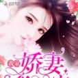 我家嬌妻甜如蜜(晴天小恬著現代言情類型網路小說)