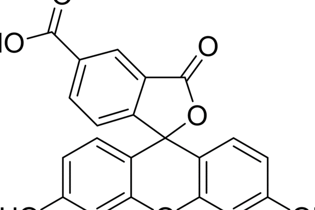 6-羧基螢光素