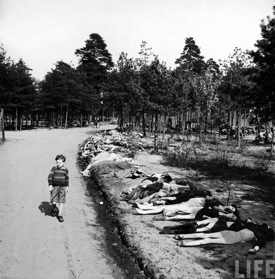 一個德國男孩走過成堆的囚犯屍體