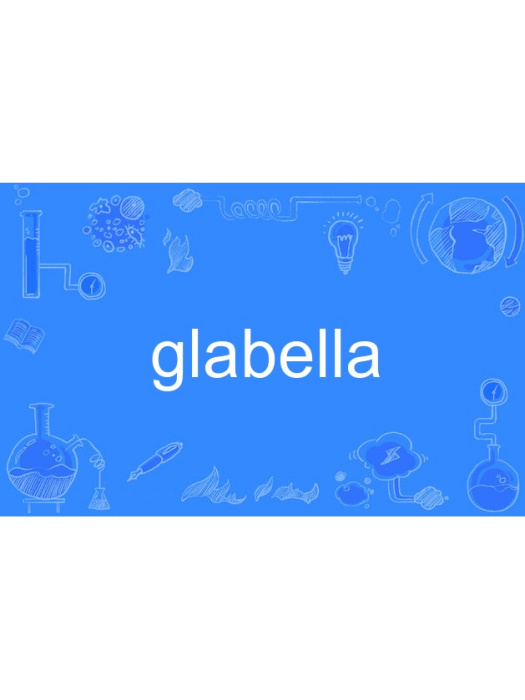 glabella