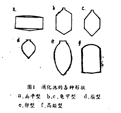 厭氧污泥消化池