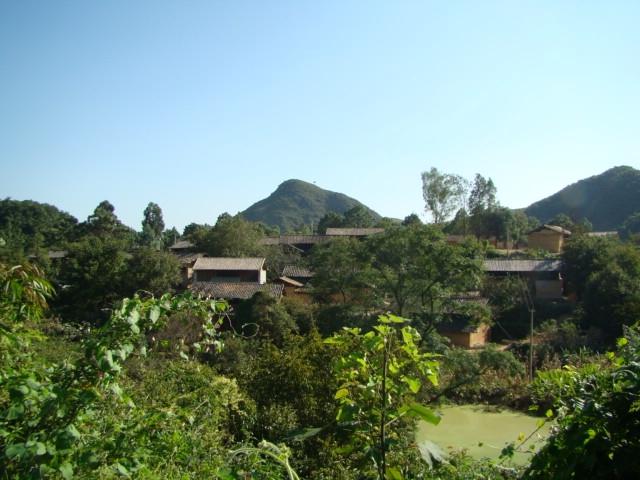 大榔樹村