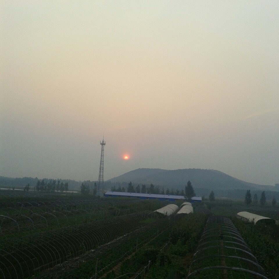 簸箕掌村(山東省臨沂市蘭陵縣向城鎮簸箕掌村)