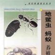 地鱉蟲、螞蟻養殖必讀