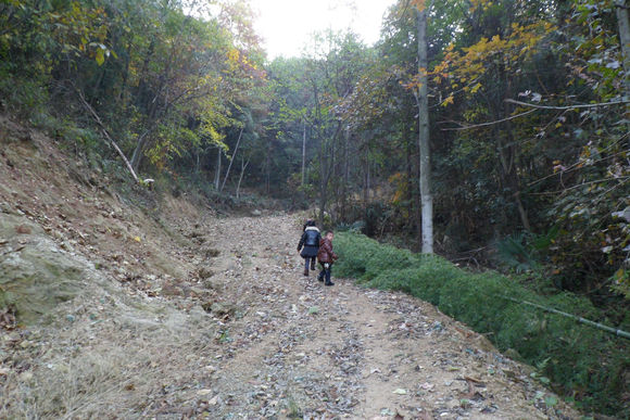 黃柏山村