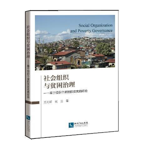 社會組織與貧困治理：基於組織個案的扶貧實踐經驗