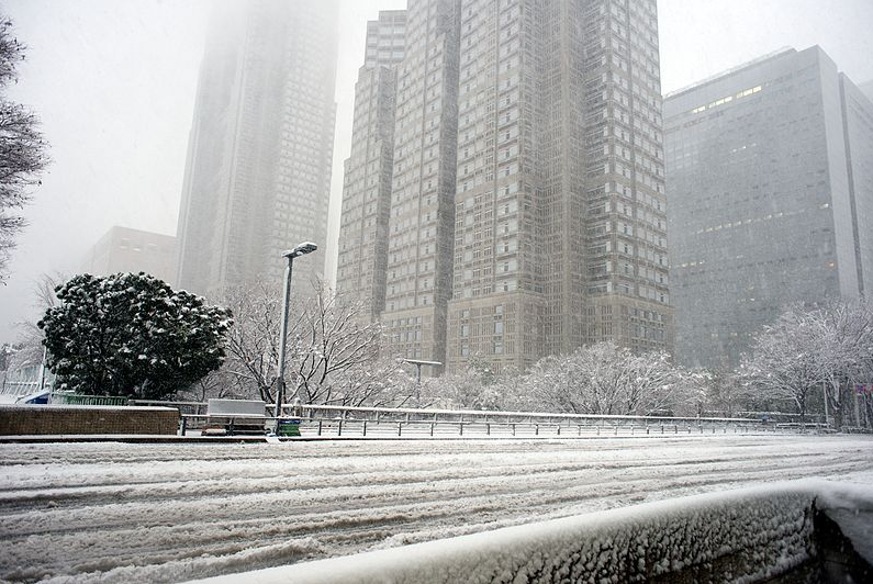 1月14日新宿區強烈暴風雪