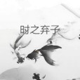 時之棄子(念化殘夢創作的網路小說)