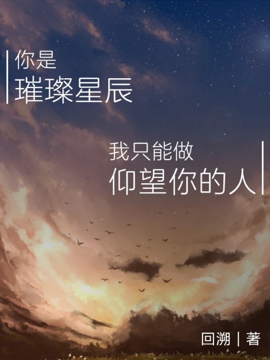 你是璀璨星辰我只能做仰望你的人