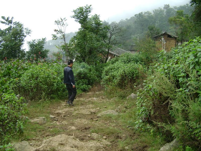 入村道路