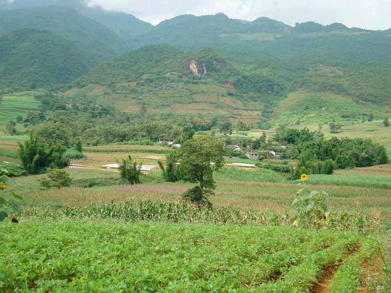 龍洞自然村(洛澤河鎮獻雞行政村龍洞自然村)