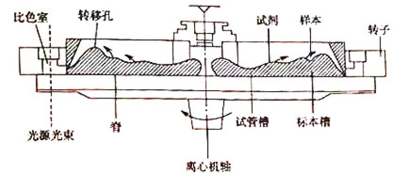 圖3 離心式生化分析儀結構