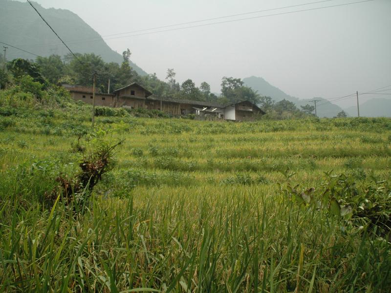 白楊自然村(雲南昭通水富縣兩碗鄉石燕村委會白楊自然村)