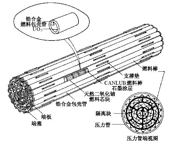 CANDU6型重水堆燃料棒束示意圖