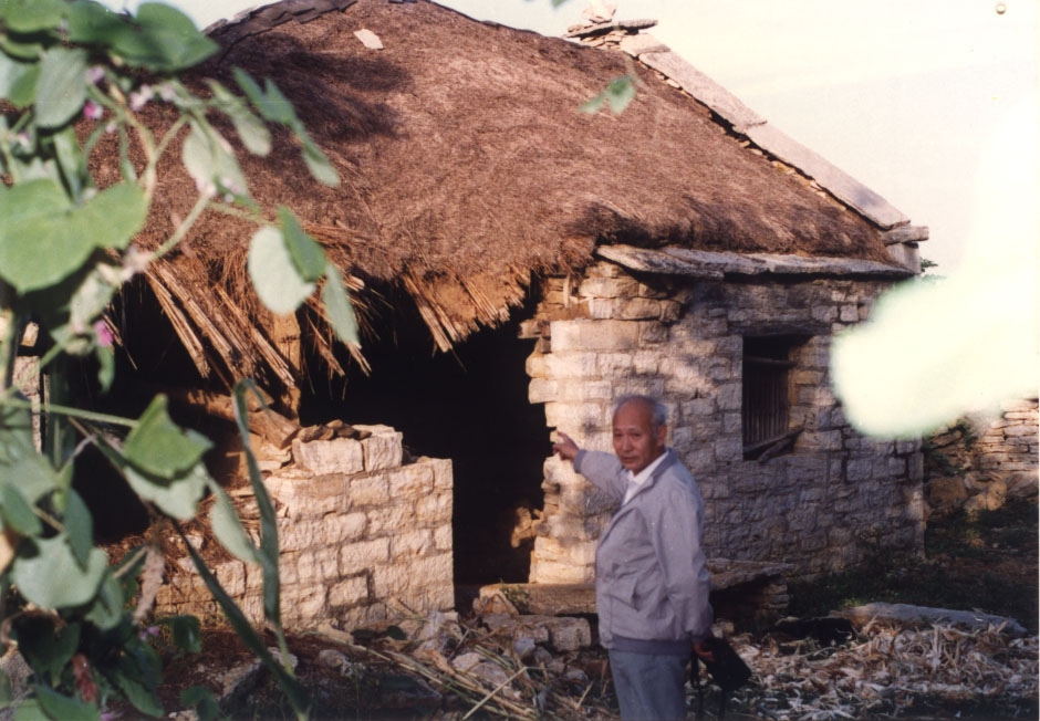 蒼山地震