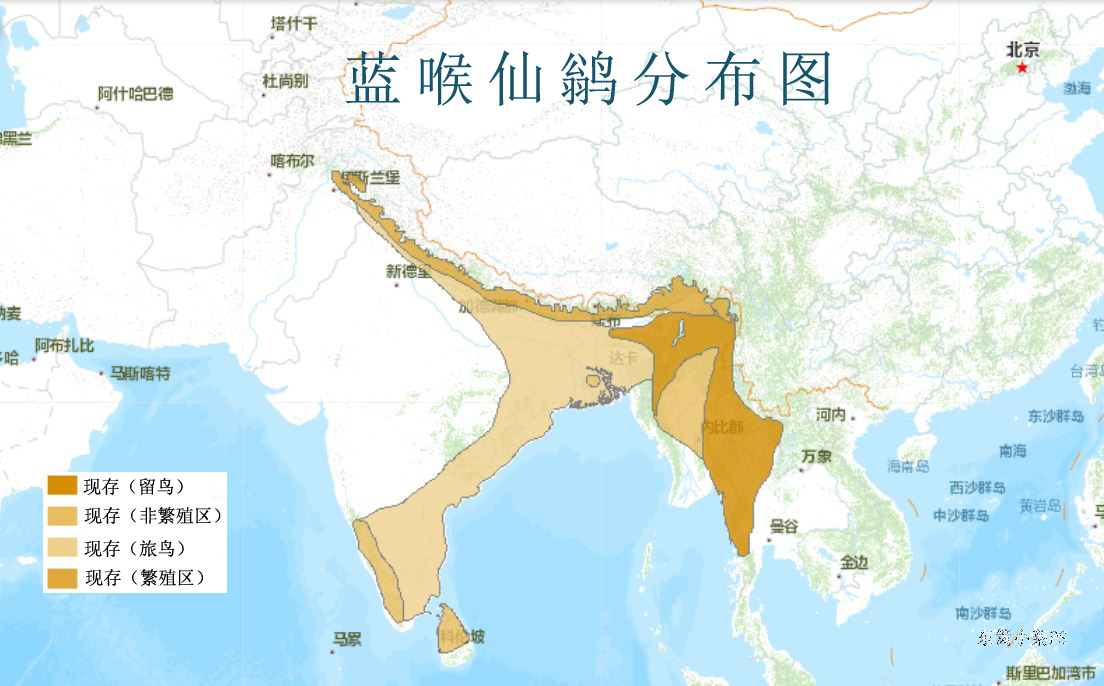 藍喉仙鶲分布圖